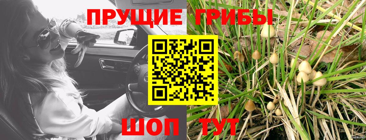 Назарово  Галлюциногенные грибы прущие грибы  Галлюциногенные грибы мухоморы  Вход с VPN 